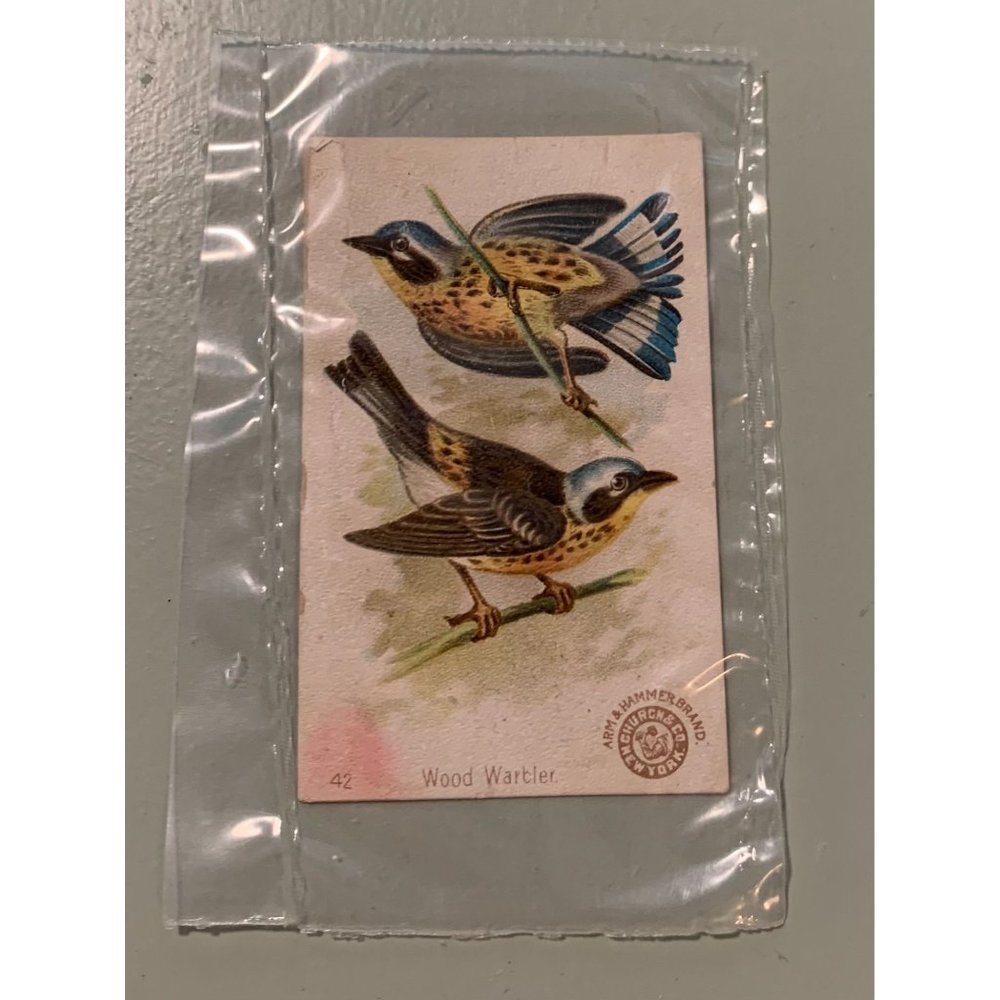 Arm & Hammer Beautiful bird card # 42 Wood Wartler
